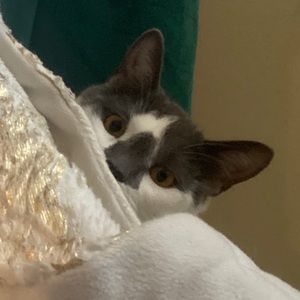 Meet your Posher, Alexis